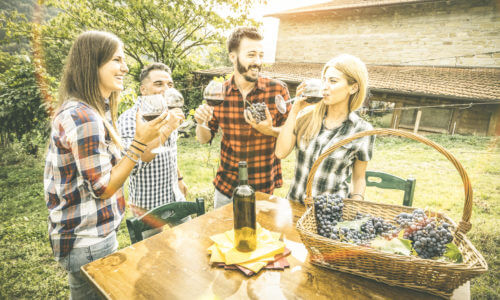 Happy friends having fun drinking at winery vineyard - Friendship concept with young people enjoying harvest together at farmhouse - Red wine tasting indie experience outdoors - Vintage retro filter